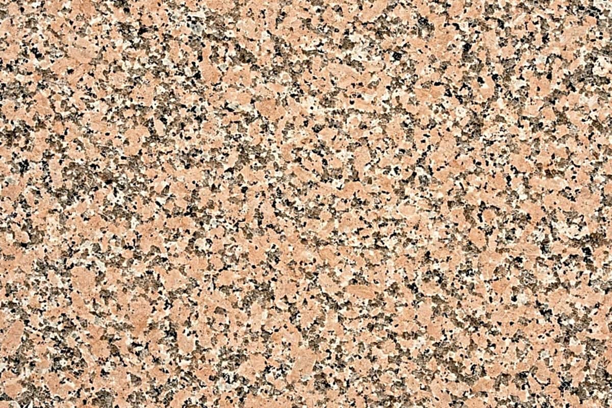 rosa-porino