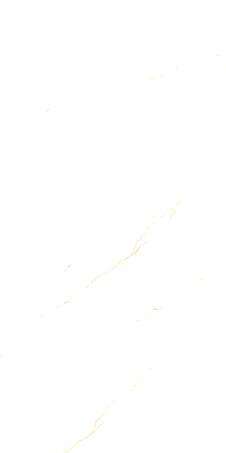 calacatta-derma