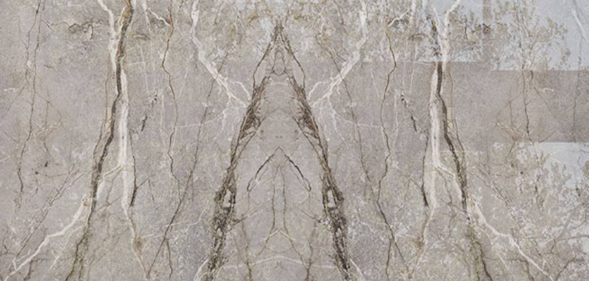 silver-root