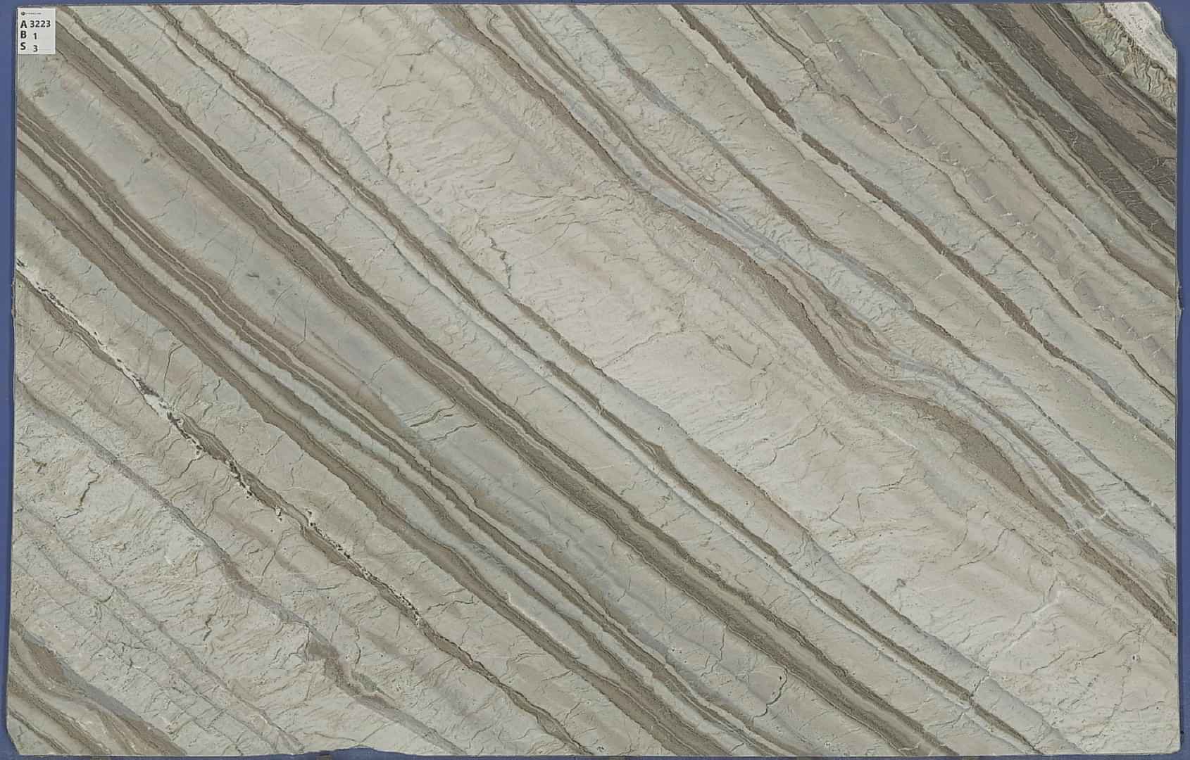 corteccia
